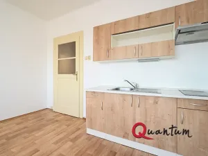 Pronájem bytu 1+kk, Praha - Vinohrady, Fričova, 32 m2