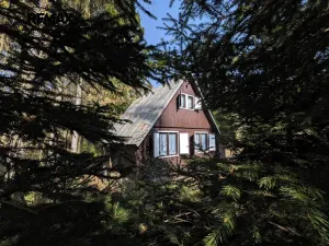 Prodej chaty, Dobrá Voda, 47 m2