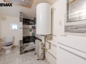 Prodej chalupy, Neustupov, 150 m2