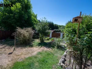 Prodej chalupy, Neustupov, 150 m2