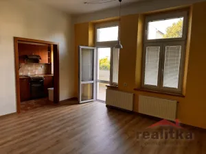 Pronájem bytu 1+kk, Opava - Předměstí, Na Nivě, 35 m2