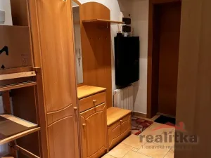 Pronájem bytu 1+kk, Opava - Předměstí, Na Nivě, 35 m2