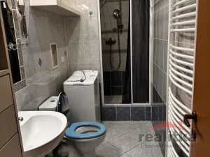 Pronájem bytu 1+kk, Opava - Předměstí, Na Nivě, 35 m2