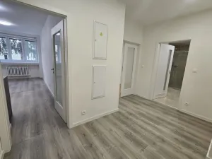 Pronájem bytu 2+1, Praha - Podolí, Podolská, 75 m2