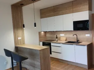 Pronájem bytu 1+kk, Opava, Císařského pluku, 41 m2