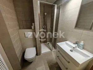 Pronájem bytu 2+kk, Zlín, Zarámí, 47 m2