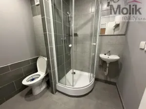 Pronájem bytu 2+kk, Bílina - Újezdské Předměstí, Síbova, 44 m2