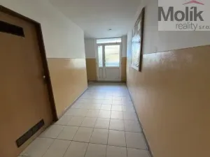 Pronájem bytu 2+kk, Bílina - Újezdské Předměstí, Síbova, 44 m2