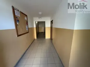 Pronájem bytu 2+kk, Bílina - Újezdské Předměstí, Síbova, 44 m2
