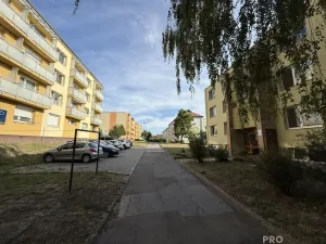 Pronájem bytu 2+1, Mikulov, St. Živného, 50 m2