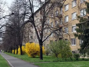 Pronájem bytu 2+1, Praha - Hloubětín, Poděbradská, 53 m2