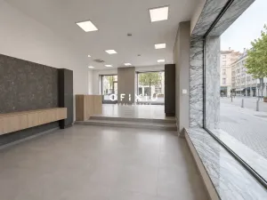 Pronájem obchodního prostoru, Brno, Dominikánské náměstí, 109 m2