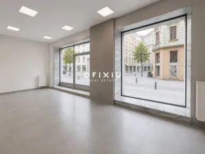 Pronájem obchodního prostoru, Brno, Dominikánské náměstí, 109 m2