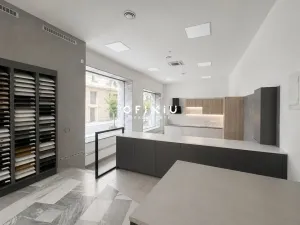 Pronájem obchodního prostoru, Brno, Dominikánské náměstí, 109 m2