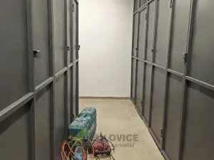 Pronájem bytu 1+kk, Milovice, Topolová, 25 m2
