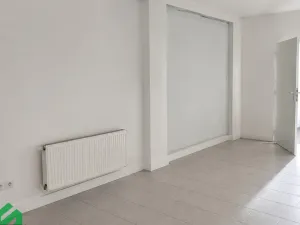 Pronájem vícegeneračního domu, Praha - Libeň, Na hrázi, 400 m2