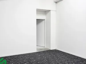 Pronájem vícegeneračního domu, Praha - Libeň, Na hrázi, 400 m2