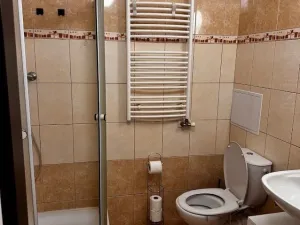 Pronájem bytu 1+kk, Liberec - Liberec II-Nové Město, Chrastavská, 36 m2