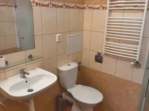 Pronájem bytu 1+kk, Liberec - Liberec II-Nové Město, Chrastavská, 36 m2