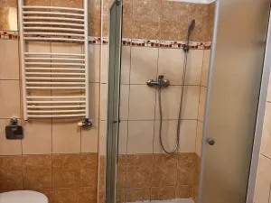 Pronájem bytu 1+kk, Liberec - Liberec II-Nové Město, Chrastavská, 36 m2