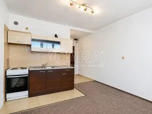 Prodej bytu 1+kk, Tábor, Petrohradská, 19 m2