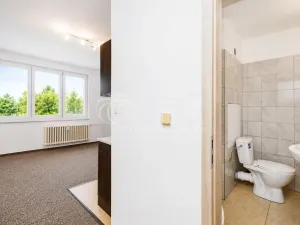 Prodej bytu 1+kk, Tábor, Petrohradská, 19 m2