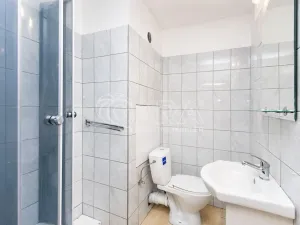 Prodej bytu 1+kk, Tábor, Petrohradská, 19 m2