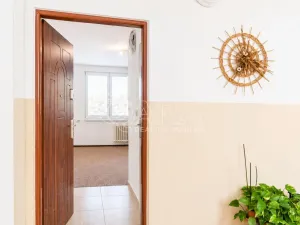 Prodej bytu 1+kk, Tábor, Petrohradská, 19 m2
