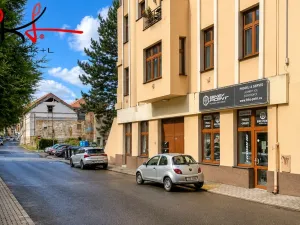 Prodej bytu 2+1, Roudnice nad Labem, Havlíčkova, 49 m2