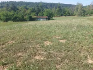 Prodej zahrady, Stražisko, 3220 m2