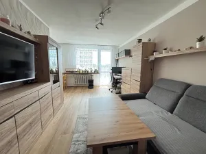 Pronájem bytu 3+kk, Praha - Krč, Horáčkova, 69 m2