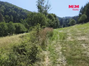 Prodej louky, Halenkov, 1784 m2