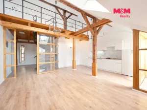 Pronájem bytu 3+kk, Praha - Libeň, Chlumčanského, 104 m2