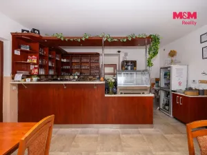 Prodej ubytování, Brandýs nad Orlicí, Husova, 340 m2