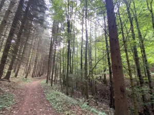 Prodej louky, Strážná, 2049 m2