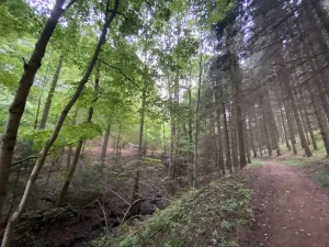 Prodej louky, Strážná, 2049 m2