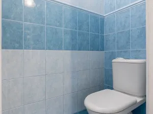 Pronájem rodinného domu, Brandýsek - Olšany, Olšanská I, 100 m2