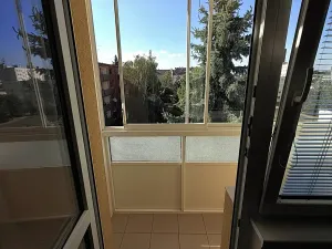 Pronájem bytu 1+1, Židlochovice, sídl. Družba, 34 m2