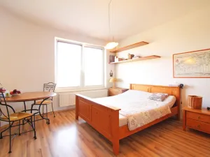 Pronájem bytu 1+kk, Olomouc - Nová Ulice, Okružní, 38 m2