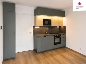 Pronájem bytu 1+kk, Hradec Králové - Nový Hradec Králové, Pod Zámečkem, 28 m2