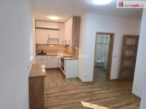 Pronájem bytu 3+kk, Straky, 75 m2