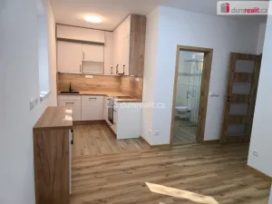 Pronájem bytu 3+kk, Straky, 75 m2