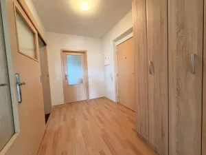 Pronájem bytu 2+kk, Nový Malín, 65 m2