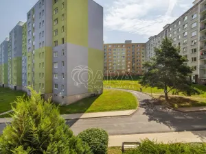Prodej bytu 1+1, Rumburk - Rumburk 1, V Podhájí, 49 m2