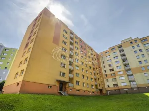 Prodej bytu 1+1, Rumburk - Rumburk 1, V Podhájí, 49 m2