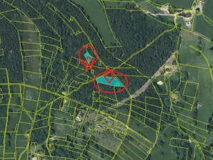 Prodej lesa, Tanvald, 6473 m2