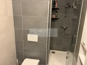 Prodej bytu 2+kk, Mladá Boleslav, Laurinova, 45 m2