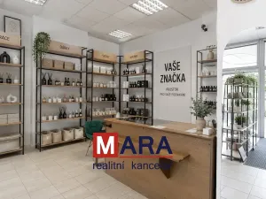 Prodej obchodního prostoru, Olomouc, Rožňavská, 36 m2
