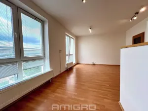 Prodej bytu 1+kk, Brno, Blažovická, 38 m2