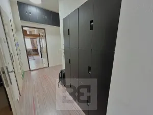 Pronájem bytu 2+kk, Praha - Nusle, Svatoslavova, 51 m2